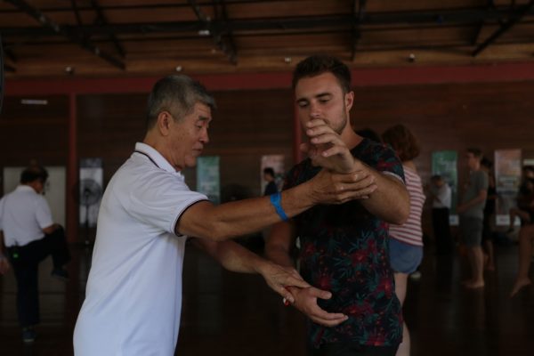 RWMF2019 Lifestyle & Wellness